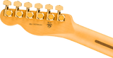Fender Limited Edition 75th Anniversary American Professional Custom Tele 2-Color Sunburst