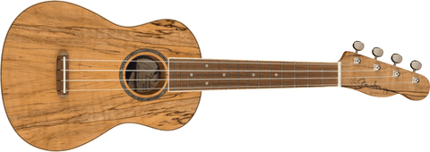 Fender Zuma Exotic Concert Ukulele Spalted Maple