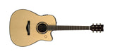 TAG3 C TransAcoustic Natural