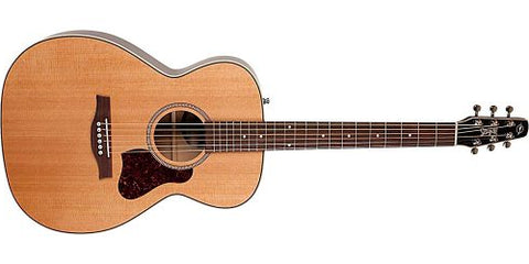 Seagull Coastline CH Momentum Acoustic Electric Guitar HG