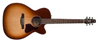 Seagull Entourage Autumn Burst CH CW A/E